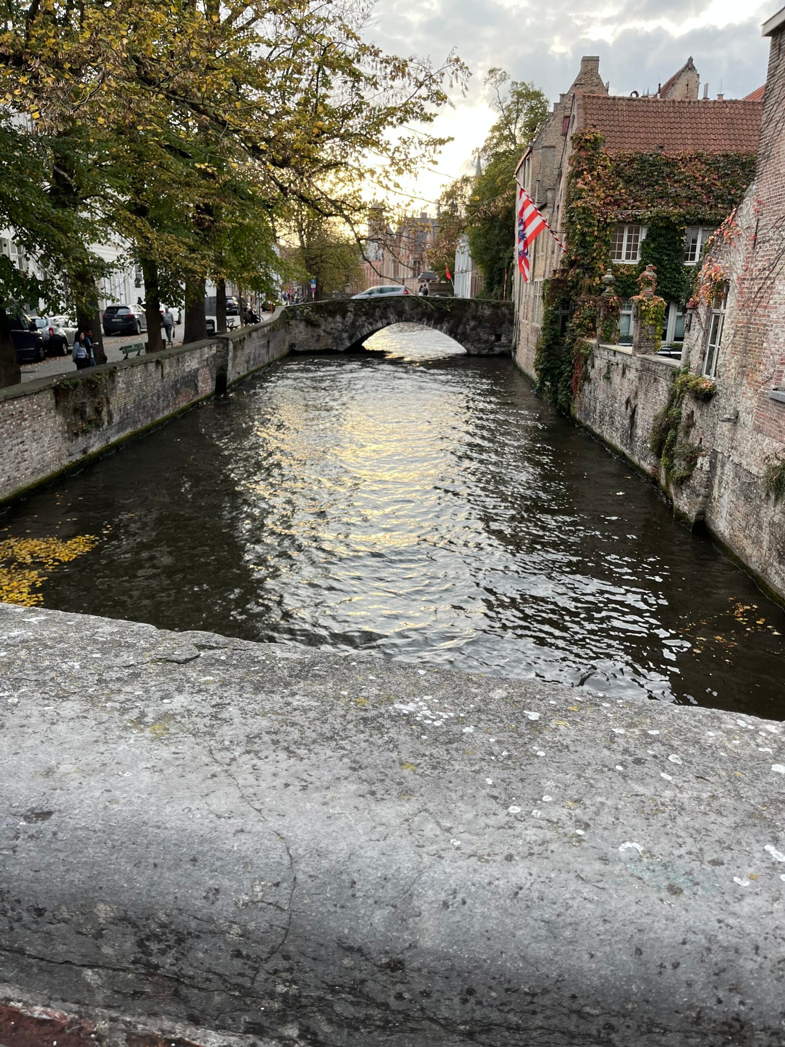 img 2373