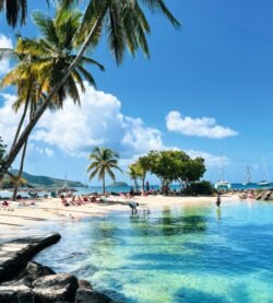 Relaxing Caribbean beach scene with palm trees and turquoise waters in Martinique.