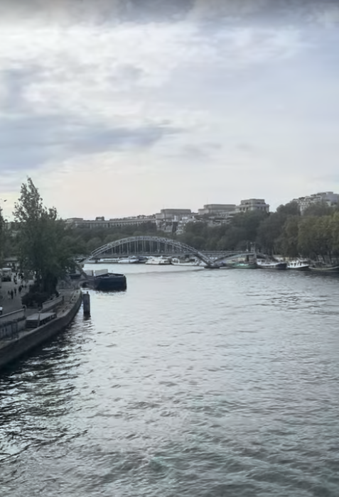One Unforgettable Night in Paris: Seeing Céline Dion Live celine 5